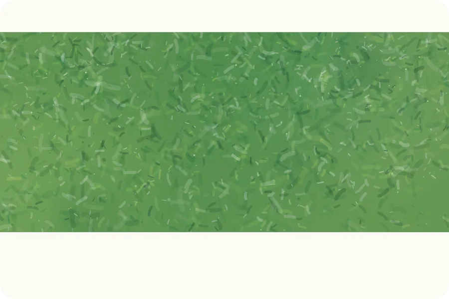 Monet's Card sample card 4